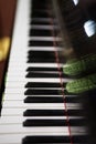 Royal grand piano keys Royalty Free Stock Photo