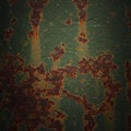 A close-up view of a rusted metal surface with prominent oxidization patterns. The Royalty Free Stock Photo