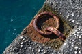 Close up view of rusty mooring ring Royalty Free Stock Photo