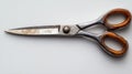 Close-up view of rusty and worn-out scissors on a white background Royalty Free Stock Photo