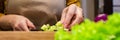 Close up view of the salad preparation process. A woman in an apron cuts a cucumber on a wooden cutting board Royalty Free Stock Photo