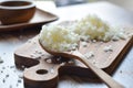 Close-up view, Salt for cooking in wooden spoon.