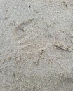 Close up view of sand on the beach ajman UAE