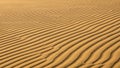 Close up of wind-blown sand dunes with distinct parallel ripple patterns desert texture Royalty Free Stock Photo