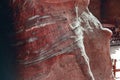 Close-up view of the sandstone rocks during the day in the Siq Gorge, Petra, Jordan Royalty Free Stock Photo