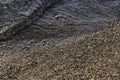 Close up view from a sandy beach with a jellyfish by in the sea Royalty Free Stock Photo