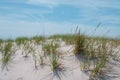 Close up view of sandy dunes at Robert Moses State Park