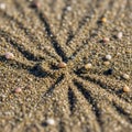 Close-up view of a sandy surface, Royalty Free Stock Photo