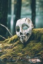 Close-up view of scary vintage hockey mask abandoned on the ground in the forest.