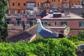 A close seagull looking at camera