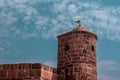 Close up view of a seagull standing on the stone wall Royalty Free Stock Photo