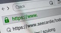 A close-up view of a secure website URL in a browser with a green lock icon Royalty Free Stock Photo