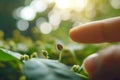 A close-up view of a seed on a fingertip, set against a blurred green background, symbolizing growth and nature