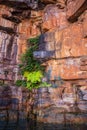 Close up view of the seepages in the walls of the canyon of the King George River - Northern Kimberley..A very wild and remote Royalty Free Stock Photo