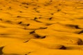 A close up view of Seif dunes in the red desert at Hatta near Dubai, UAE
