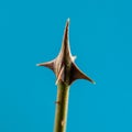 Close-up view of a sharp thorn on a green stem against a vivid blue background. The Royalty Free Stock Photo