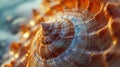A close-up view of a shell on a sandy beach. Perfect for beach-themed designs and nature-inspired projects Royalty Free Stock Photo