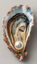 A close-up view showcases the beauty of an oyster shell, highlighting its unique textures and patterns, with a Royalty Free Stock Photo