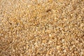 Top View of Small Pebbles and Coarse Yellow Sand Texture Royalty Free Stock Photo