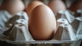 Close-up View of a Single Brown Egg Nestled in a Grey Egg Carton with Blurred Background of Other Eggs in a Warm Setting Royalty Free Stock Photo