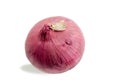 Single fresh whole red onion on white Royalty Free Stock Photo