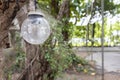 Close up view of single hanging spherical light bulb decor on tree in outdoor party Royalty Free Stock Photo