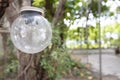 Close up view of single hanging spherical light bulb decor on tree in outdoor party