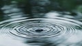 Close up view of a single water drop falling into rippling water creating concentric circles Royalty Free Stock Photo
