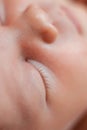 Close up view of sleeping baby eye and eyelashes Royalty Free Stock Photo