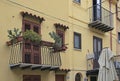 Close-up view of a small elegant balcony with beautiful and exotic plants in flower pots. Royalty Free Stock Photo