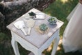 close-up view of small mirror, hair brush and decorative succulents on wooden Royalty Free Stock Photo