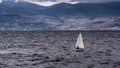 Close up view of a small sailboat with one person