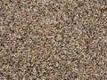 Smooth layer of tiny pebbles seen from above. Natural background with subtle texture Royalty Free Stock Photo