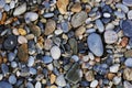 A close up view of smooth polished multicolored stones washed a