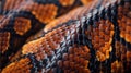 Close-up view of snake skin texture against natural background