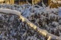 Close up view of snow covered apple tree branches with shadows from rays of sun on frosty winter day. Royalty Free Stock Photo