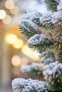 Snow covered branches Christmas tree on a background of yellow lights in blur Royalty Free Stock Photo