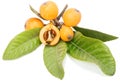 Close up view of some loquat fruits