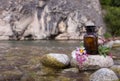 Close up view of spa theme objects on natural background