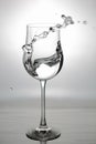 Close up view of splashing water in glass isolated. Black and white. Royalty Free Stock Photo