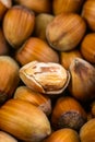 Close-up view of split hazel nut Royalty Free Stock Photo