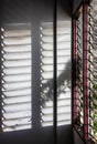 Close-up view of spooky leaf shadows with lights shining through a glass louvered window Royalty Free Stock Photo