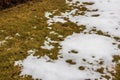 Close-up view of spring lawn in garden with remains of melted snow.