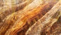Close-up View of spruce Wood Plank with Branches: Texture and Detail