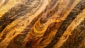 Close-up View of spruce Wood Plank with Branches: Texture and Detail