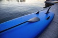 Close up view of a stand up paddle sitting on the edge of the lake