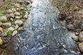 Close-up view of a stream flowing in the park on a cloudy spring day. Royalty Free Stock Photo