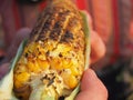 view of sweet corn baked on coals and sprinkled with spices