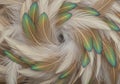 A close-up view of a swirling collection of feathers, showcasing a mix of beige and Royalty Free Stock Photo