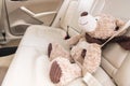 close up view of teddy bear with fastened seat belt Royalty Free Stock Photo